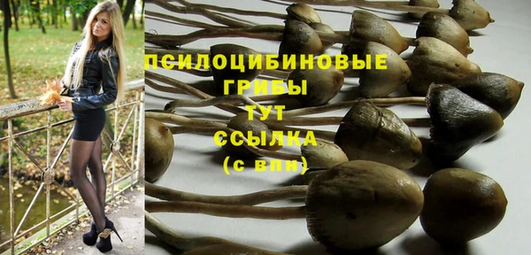 ПСИЛОЦИБИНОВЫЕ ГРИБЫ Волосово