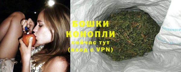 ПСИЛОЦИБИНОВЫЕ ГРИБЫ Волосово