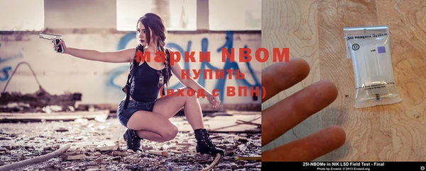 индика Вязьма