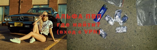 ПСИЛОЦИБИНОВЫЕ ГРИБЫ Волосово